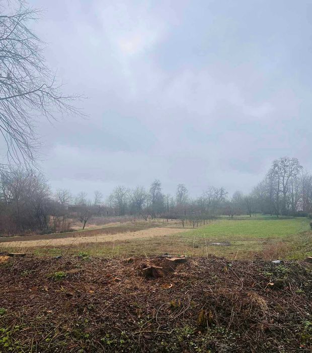 Продається земельна ділянка в с. Парпурівці 2187