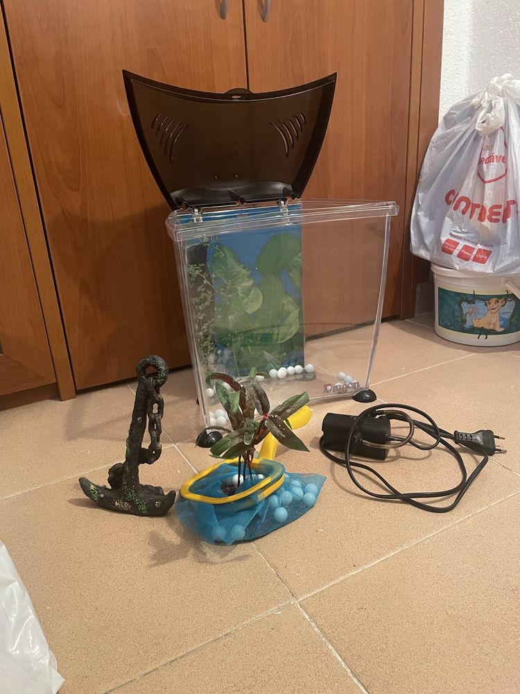 Aquário de dragão com decorações