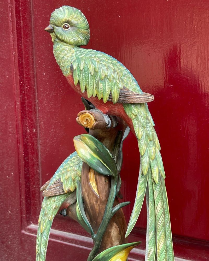 VISTA ALEGRE, AVES DO PARAÍSO OU QUETZAL