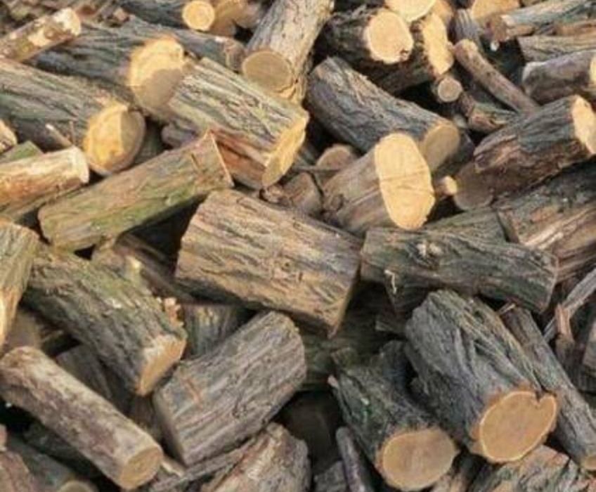 Продам дрова акація