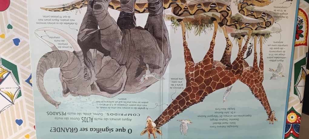 Livro dos Grandes Animais