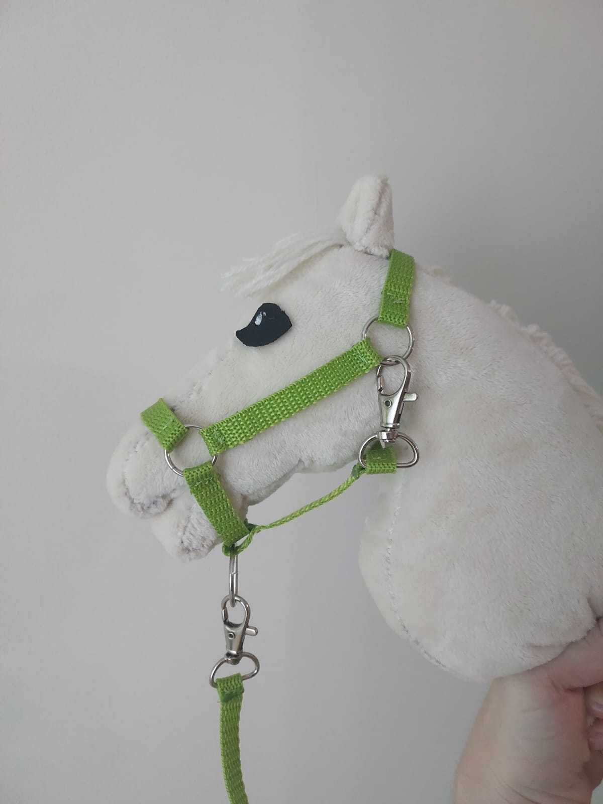 cremello źrebak hobby horse