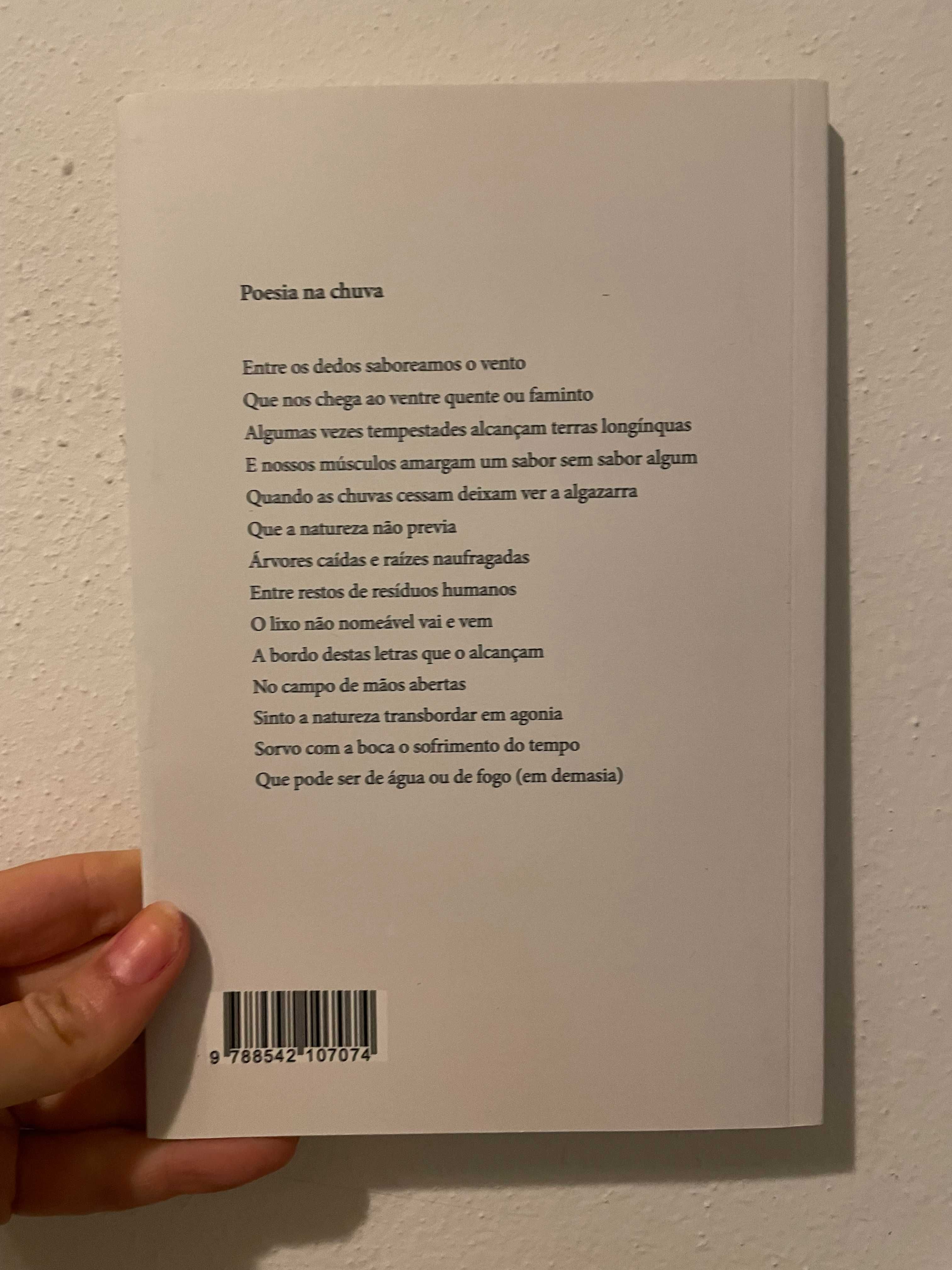 Livro O riso do inverno - solange Rebuzzi NOVO