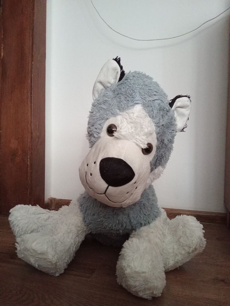 Duży pluszak husky