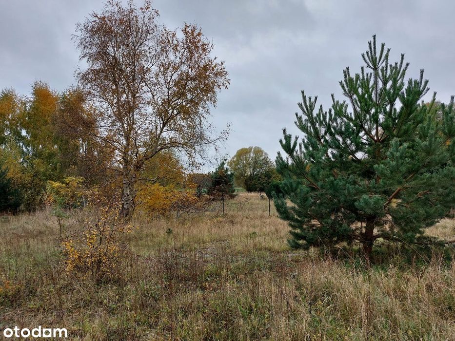 Działka budowlana 1357 m² w Szałkowie blisko jeziora!