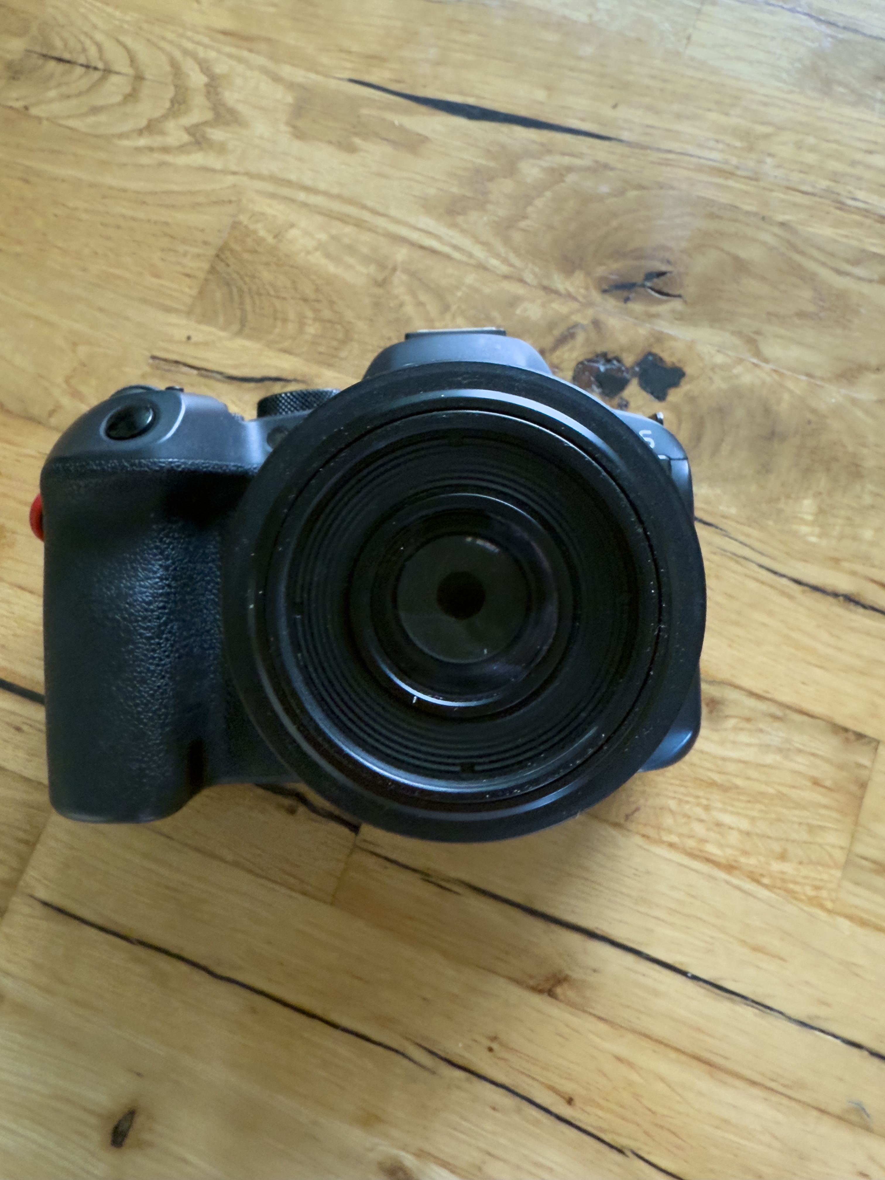 canon eos R6 mk2 + RF 35mm f/1.8 macro
