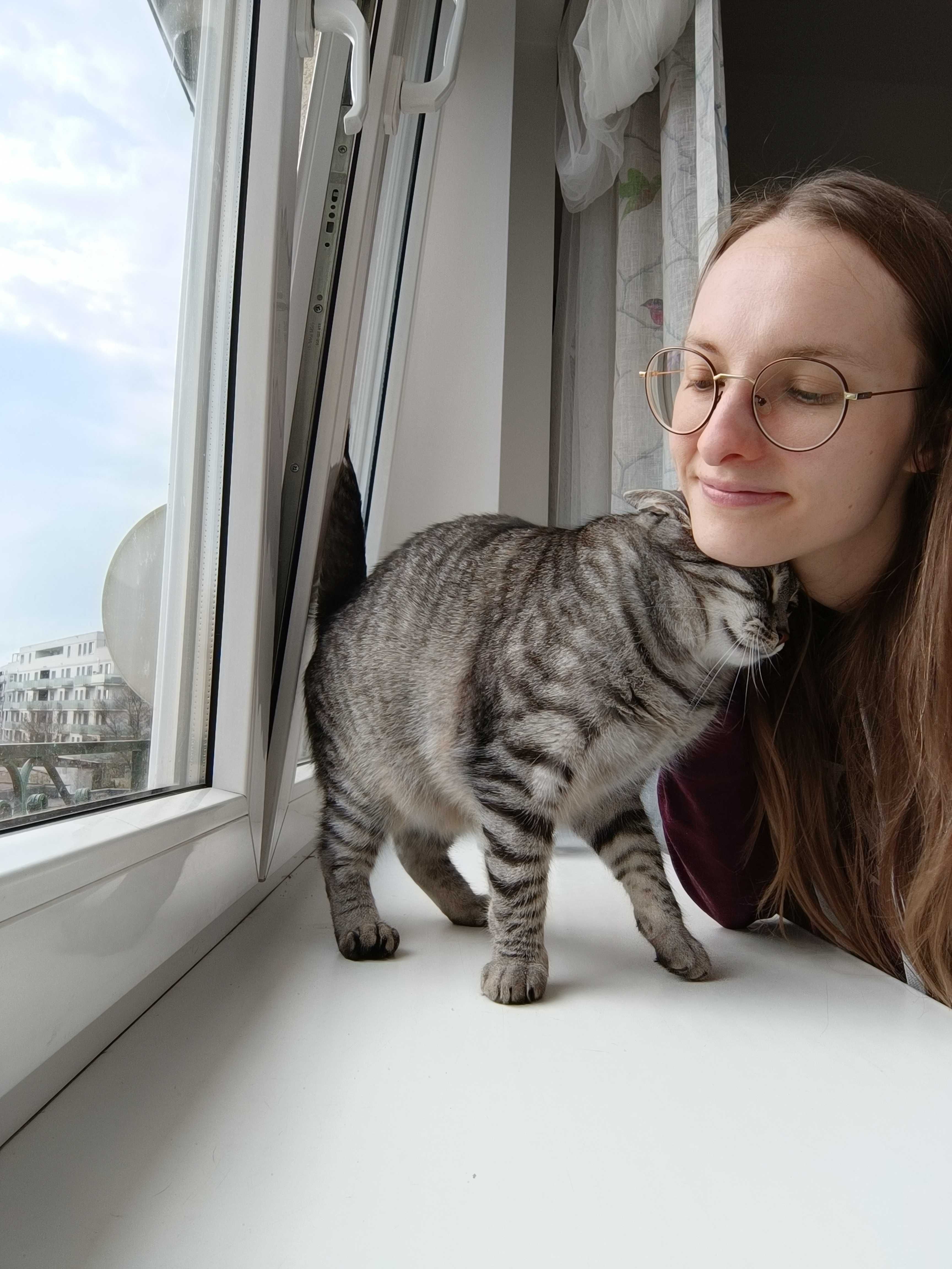 Catsitter | Opieka nad kotem w domu Właściciela | Koło, Konin, okolice