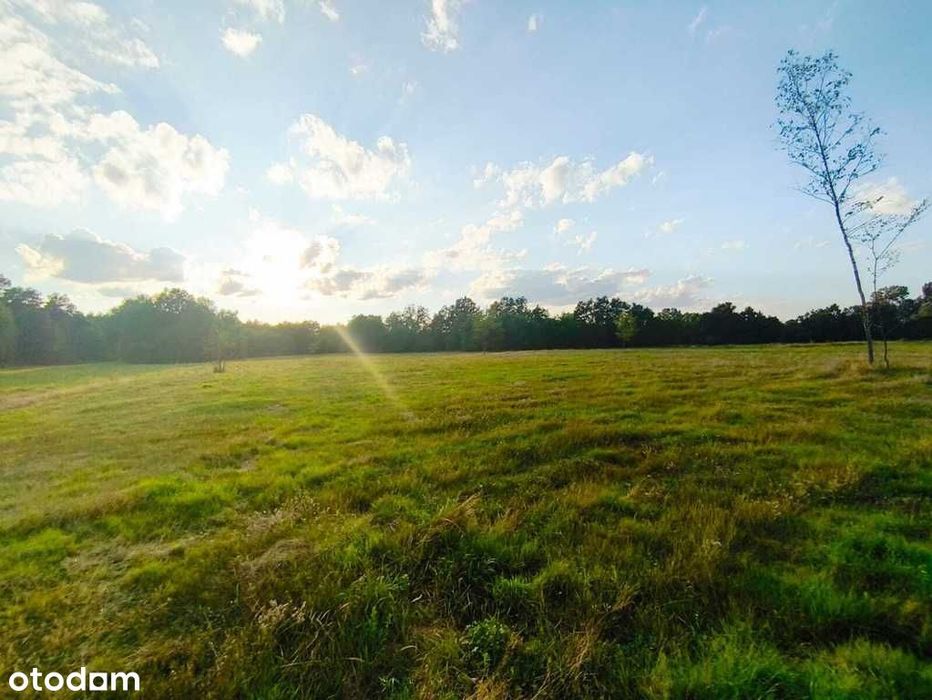 Działki budowlane/6,8,11 ar+las/blisko lasu-rzeki.