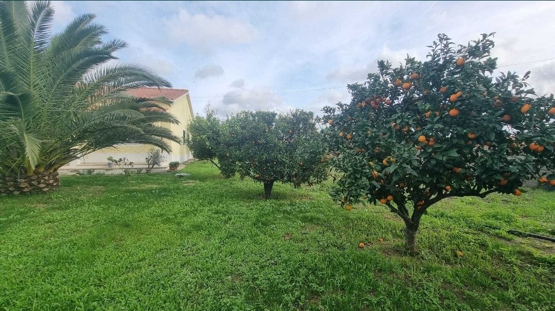 Quinta/Casa de férias no Ribatejo/Marinhais/Piscina