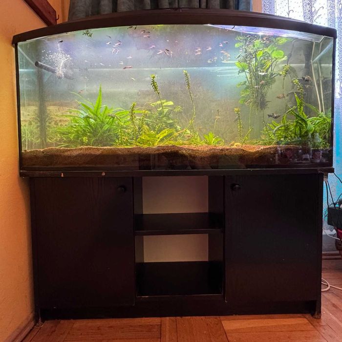 Akwarium owalne 120x30-40x50 ok 240l Szafka Pokrywa Aquael