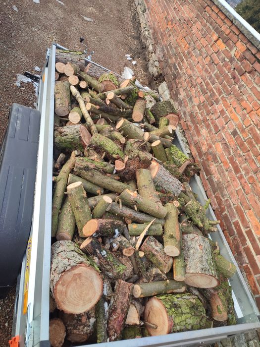 Drewno  drzewo opałowe opał