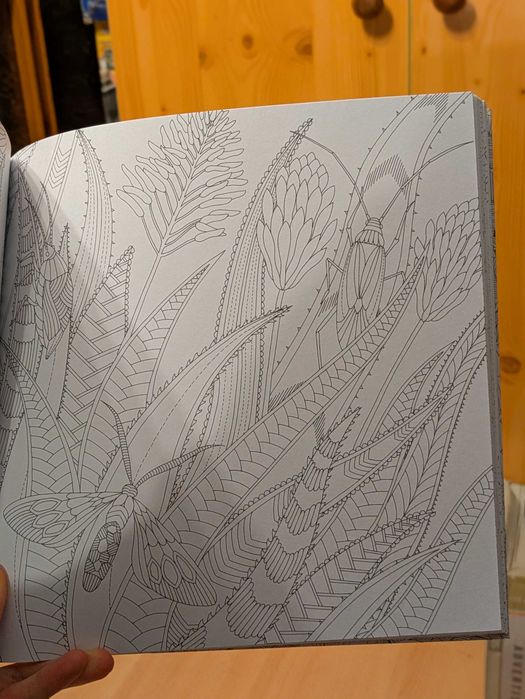 Nowa kolorowanka "Świat tropików" Millie Marotta