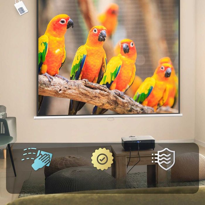 EKRAN Projekcyjny JAGO 113" projektora 203 x 203 cm