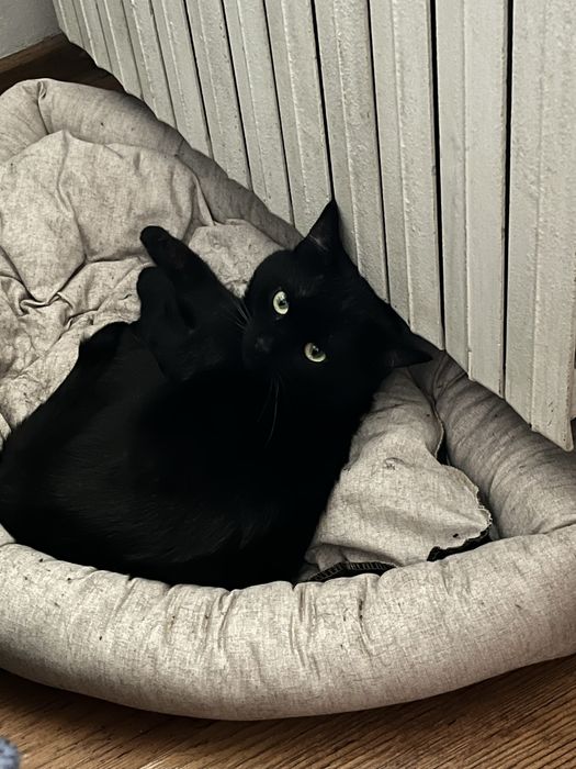 Темінь шукає дім