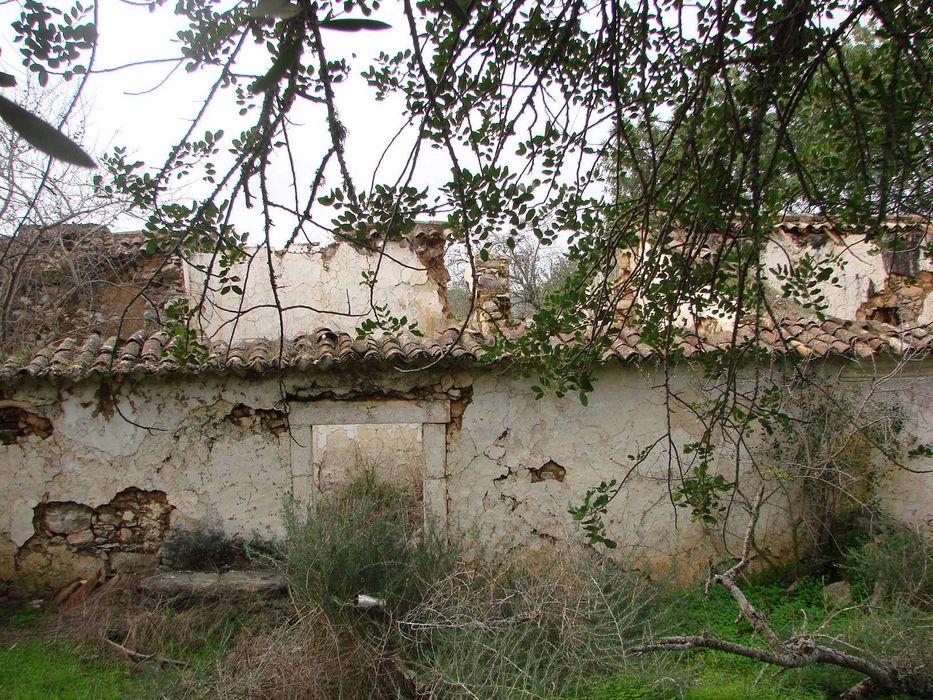 Ruina co terreno 1 ha em Amendoeira- Loulé