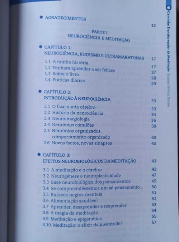 O Caminho Transformador da Meditação - Susana Novais Santos