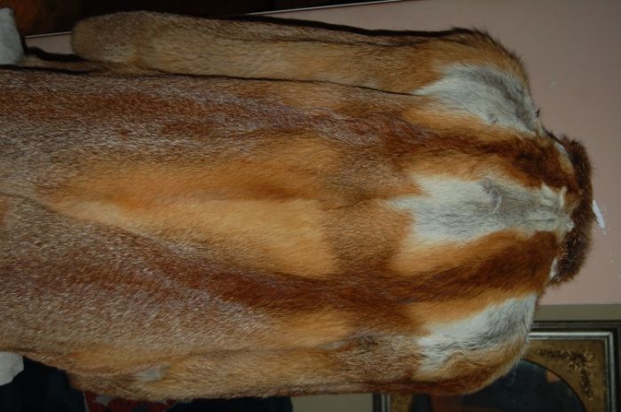 Futro z lisa rudego, naturalne, krótki płaszcz,