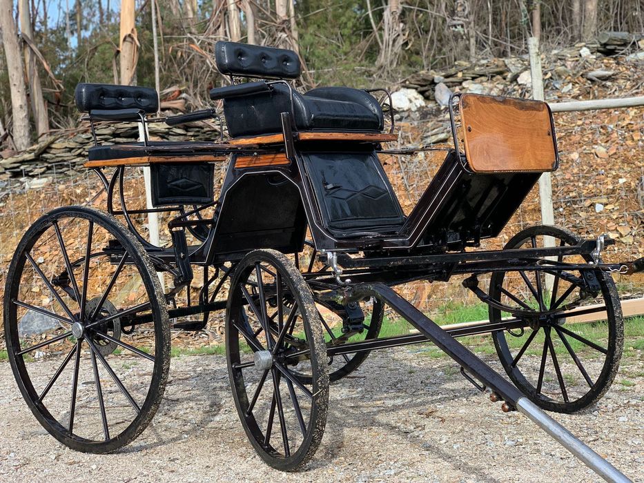 Charrete Spider Classsica