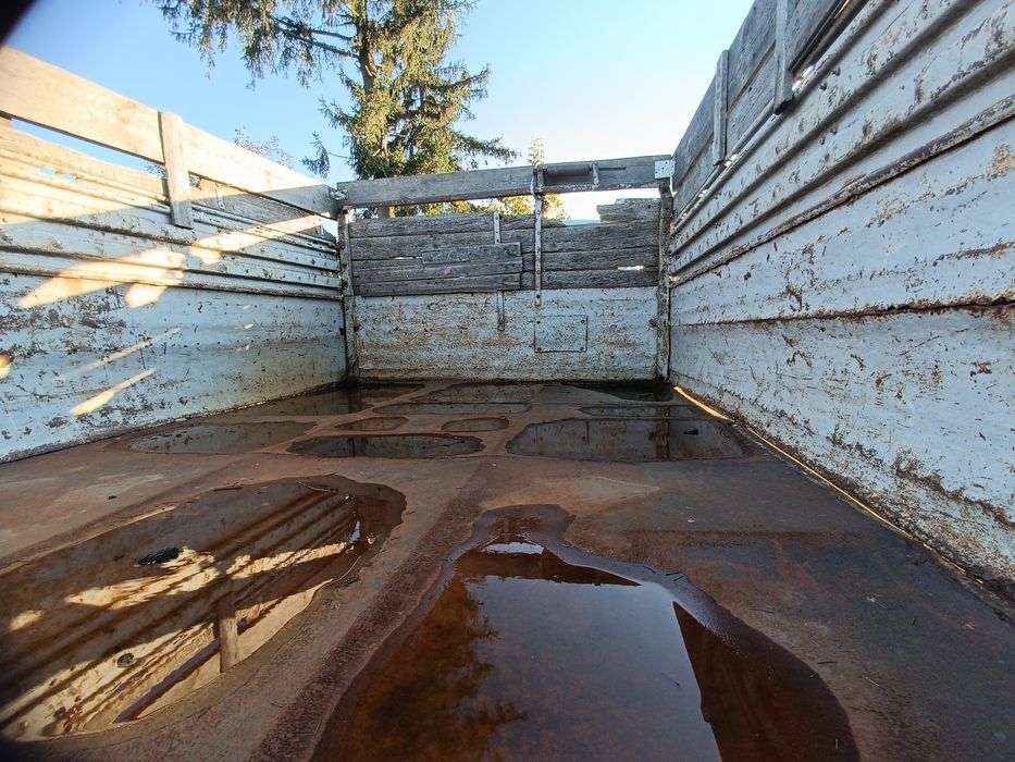 іфа 50 самосвад  в