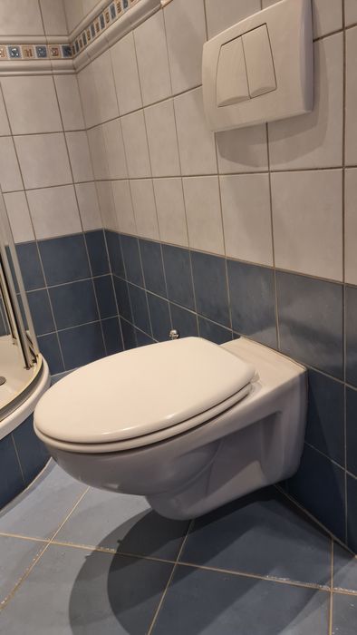 Miska WC wiszą Koło
