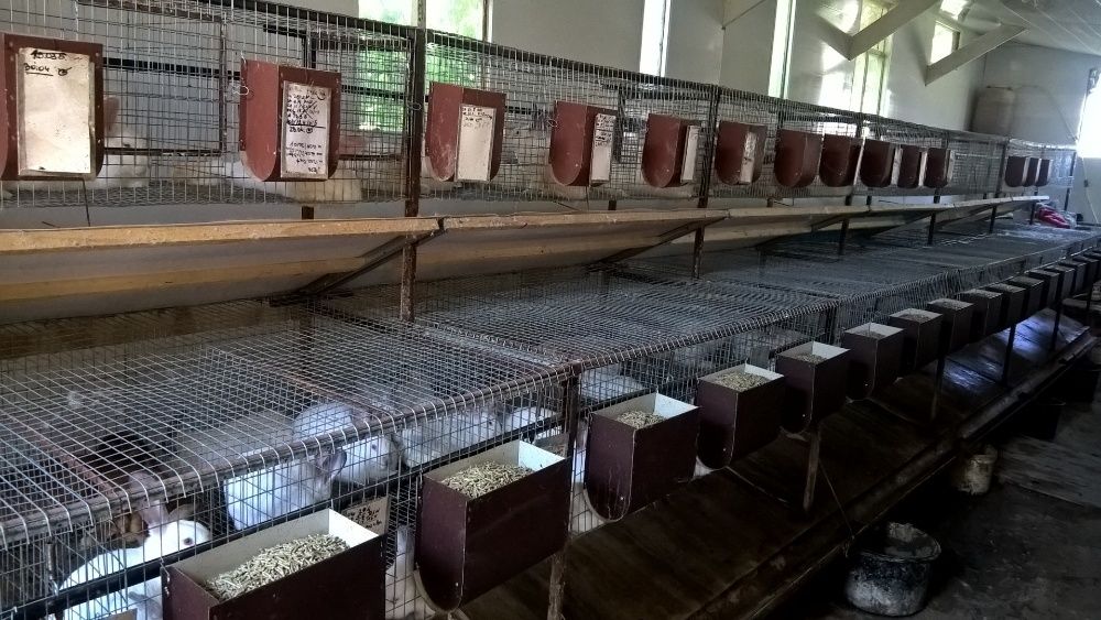 Комбикорм для кроликов.