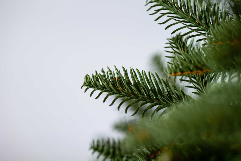 Choinka jak żywa świerk PE w donicy 110 cm Nowość 2024