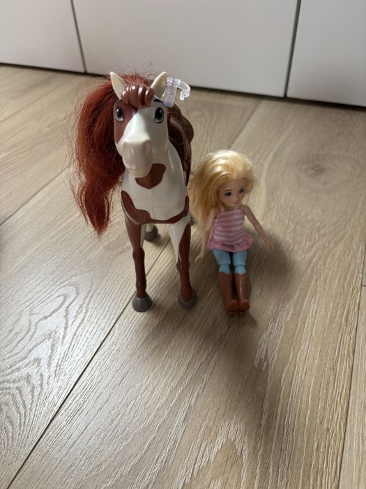 Zestaw kucyk i barbie