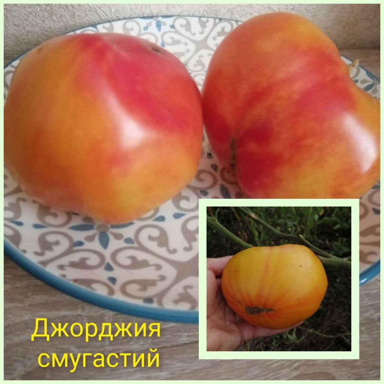Семена желтых томатов, помидор