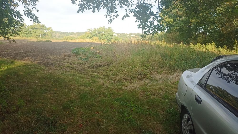 Земельна ділянка