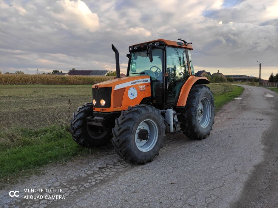 Massey Ferguson 6445. Okazja.