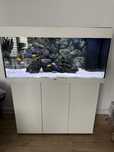 Sprzedam AKWARIUM Juwel RIO 180