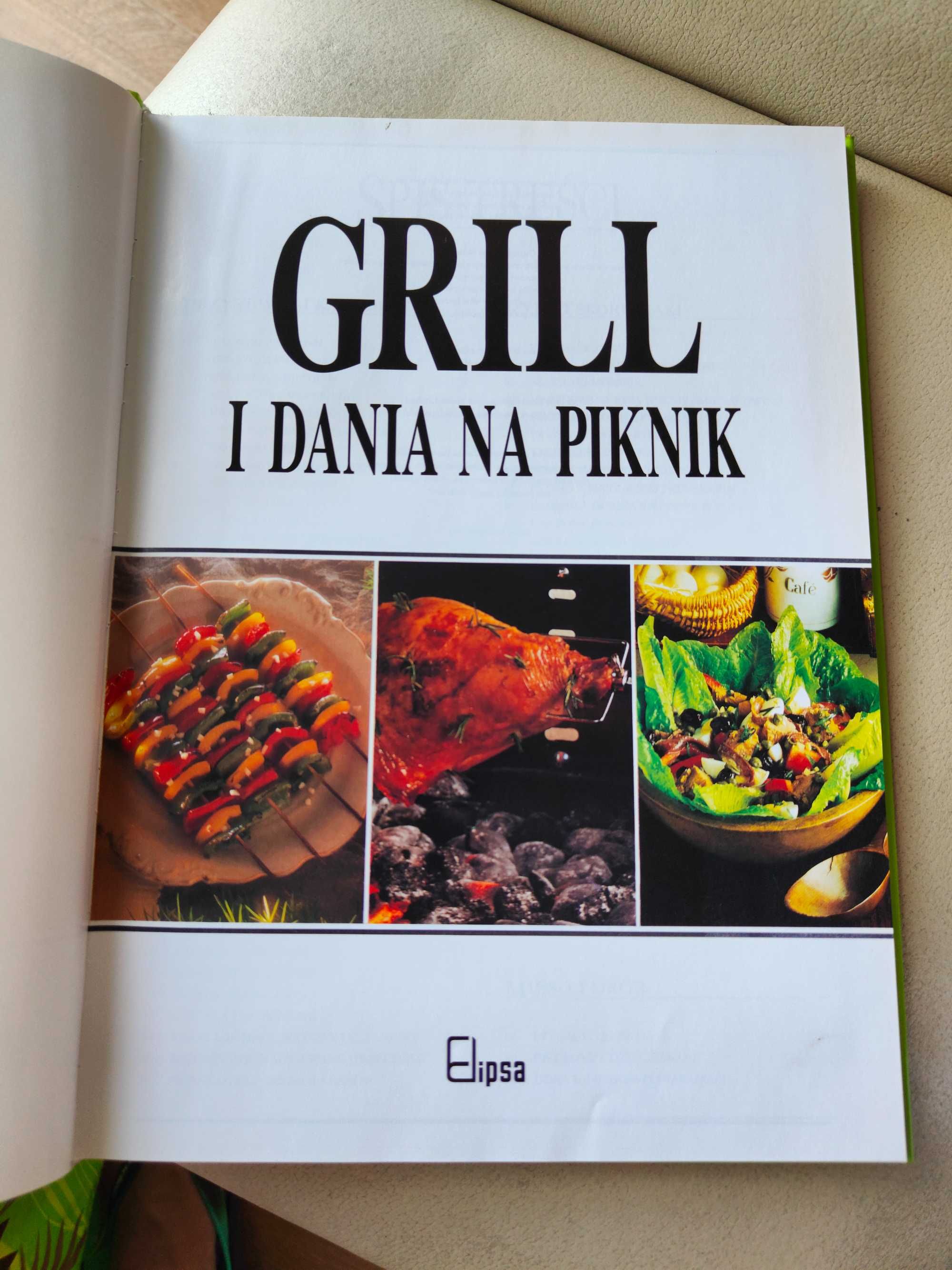 Grill i dania na piknik