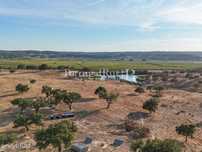 Herdade com 82 ha em Mora com possibilidade de construção