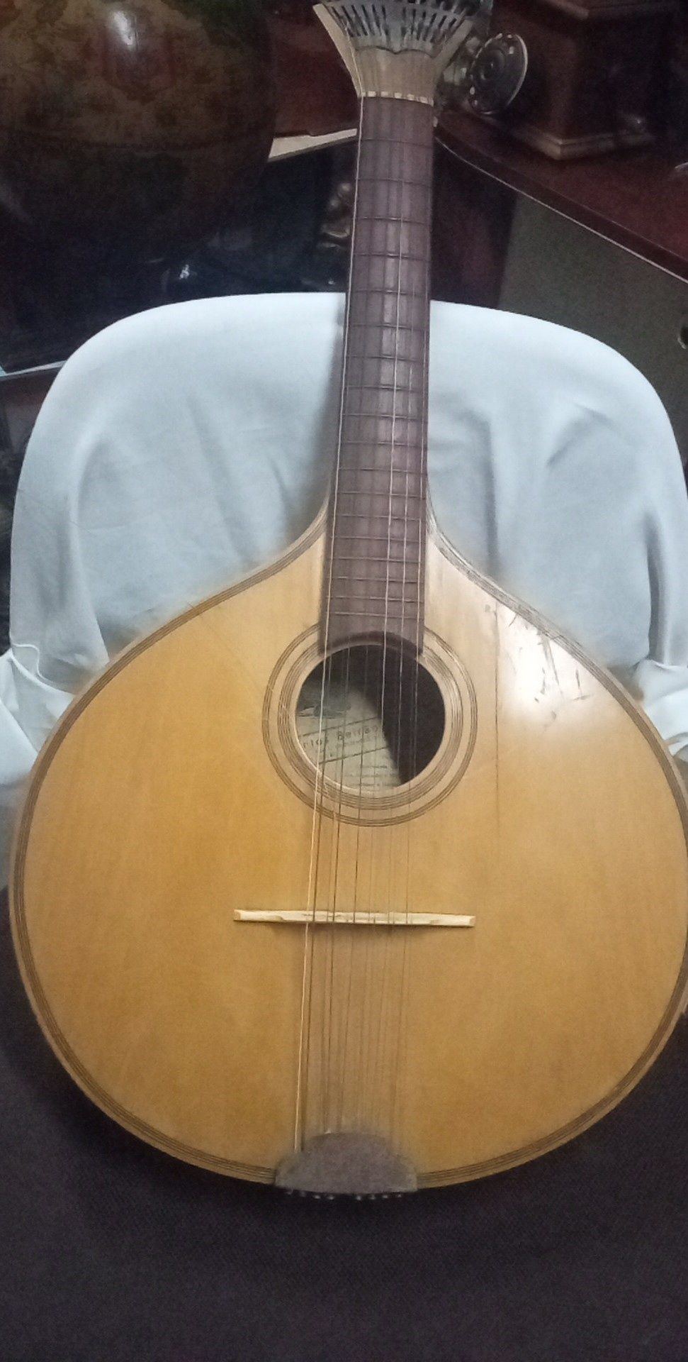 Instrumentos musicais. Concertina, cavaquinho guitarra portuguesa.