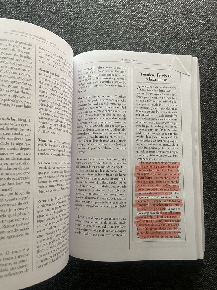 Livro Sobre Gravidez