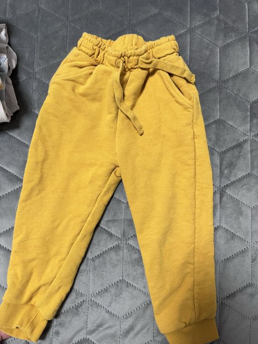 Віддам безкоштовно