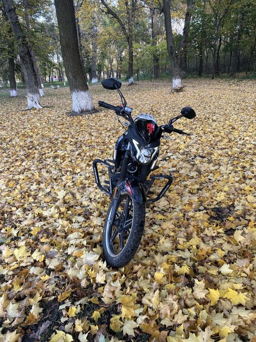 Мотоцикл мустанг регіон 200(фортуна)