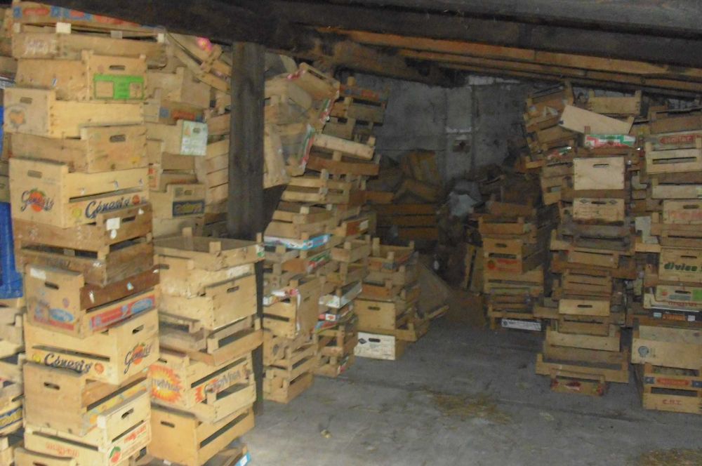 Skrzynki drewniane po owocach cytrusach 1000 sztuk