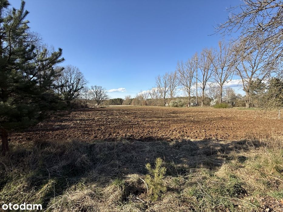 Działka w Buchałowie