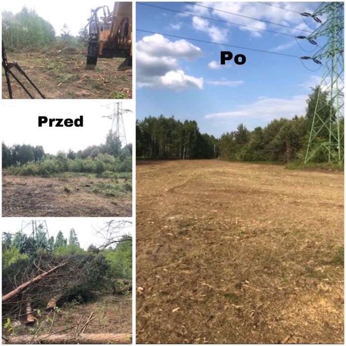 Kompleksowe czyszczenie terenów leśnych Mulczer Wycinka