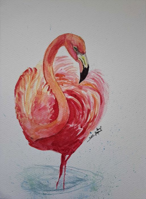 25€ Pinturas em aguarela "flamingo"
