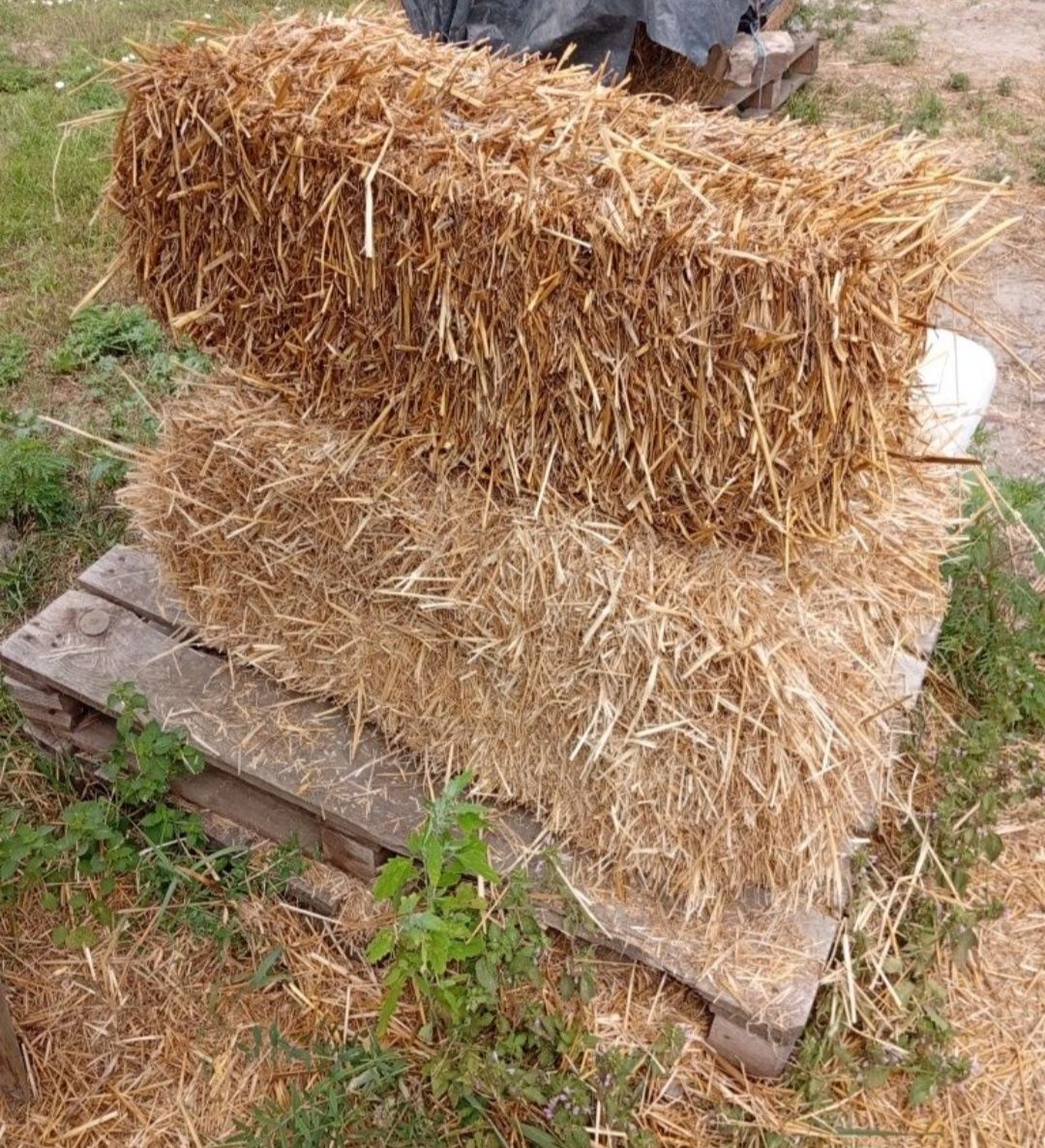 сіно, солома в тюках