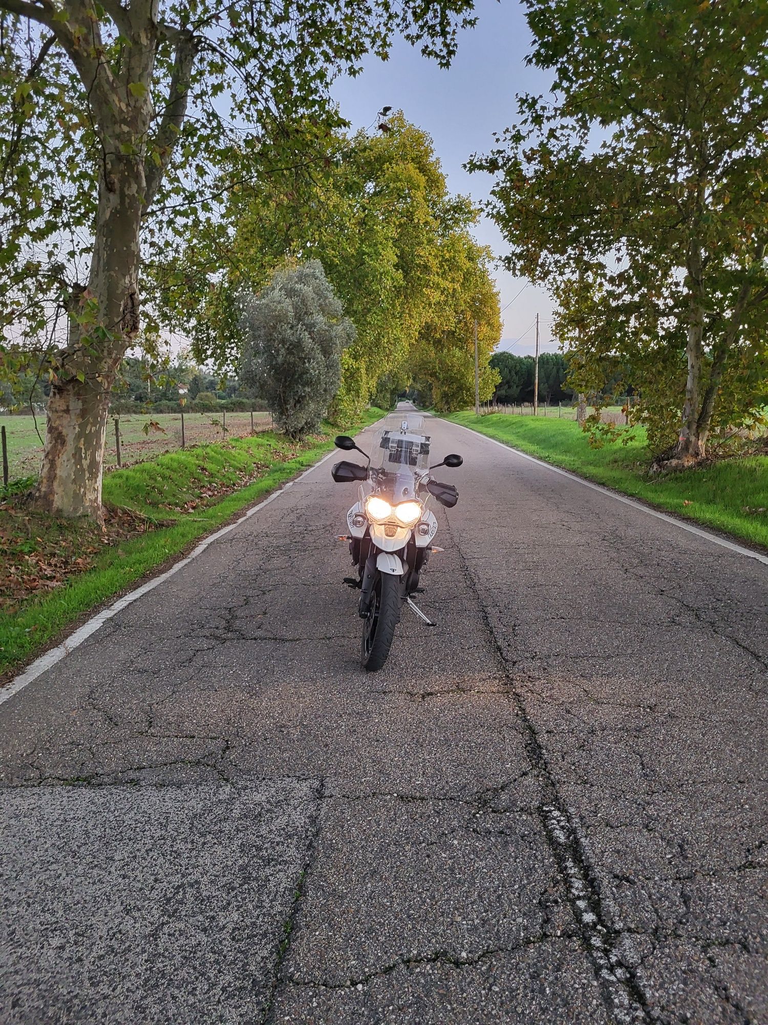 Triumph Tiger 800 XRT Topo de Gama poucos Kmsa