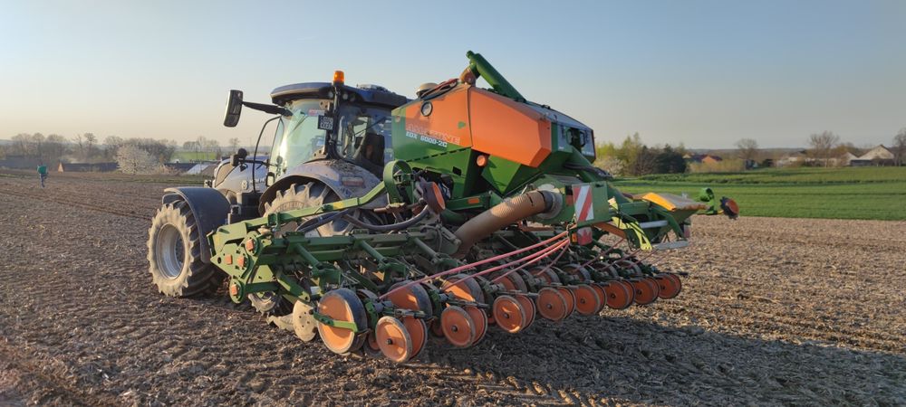 Amazone EDX 6000-2c siewnik kukurydzy nie kuhn kvenreland gaspardo