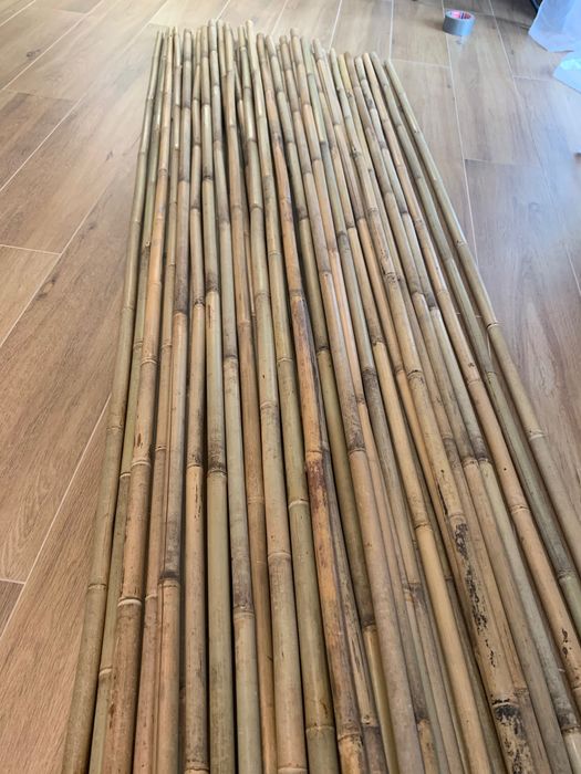 Tyczki bambusowe 240cm