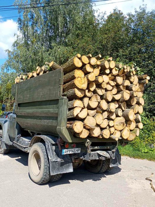 Продам дрова різних порід