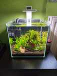 Nowe Akwarium krewetki Red polecam !!!