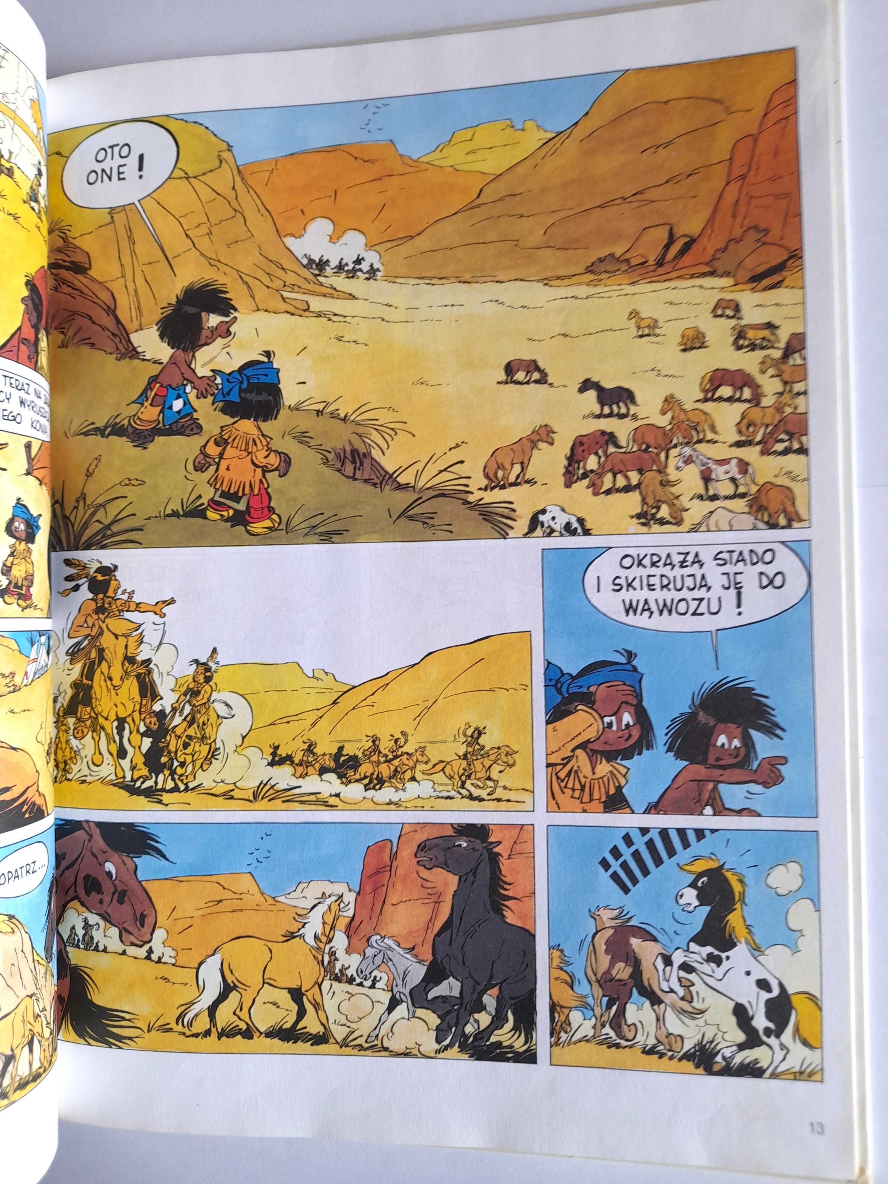 YAKARI  i Wielki Orzeł - Derib, Job KOMIKS