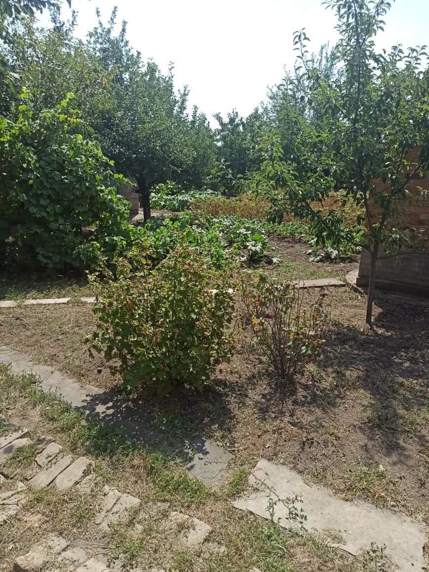 Продам дом, будинок в Синельникове