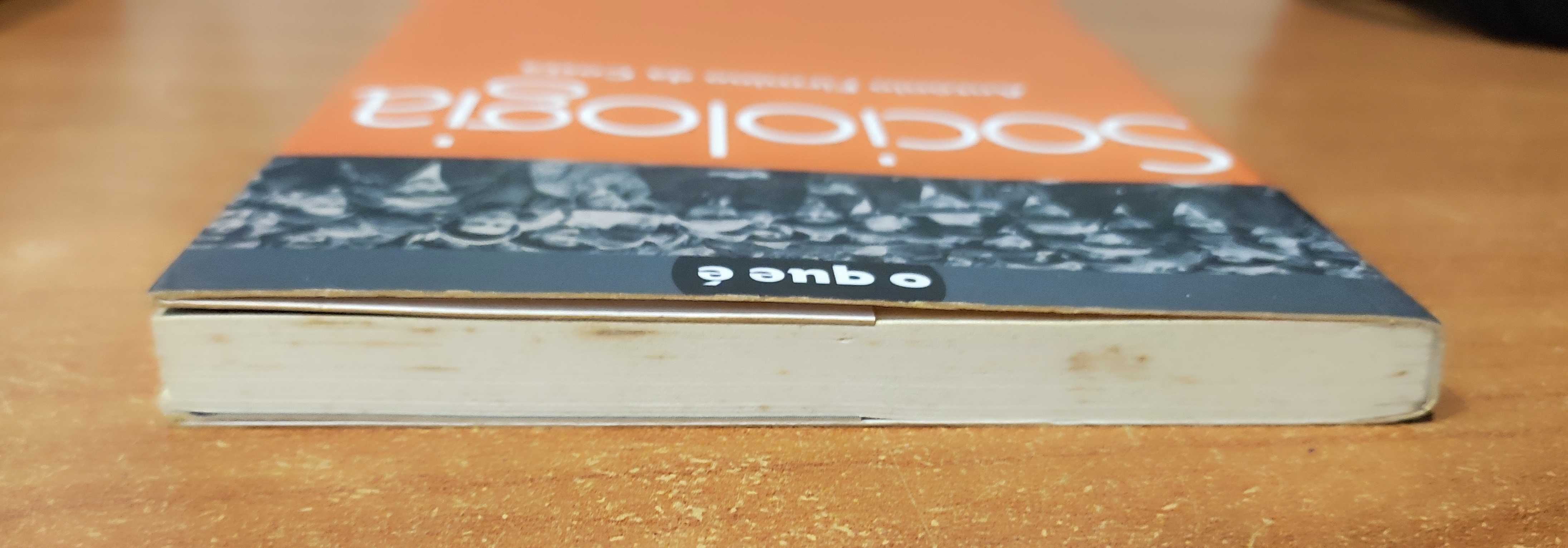 Livro "Sociologia" | António Firmino da Costa
